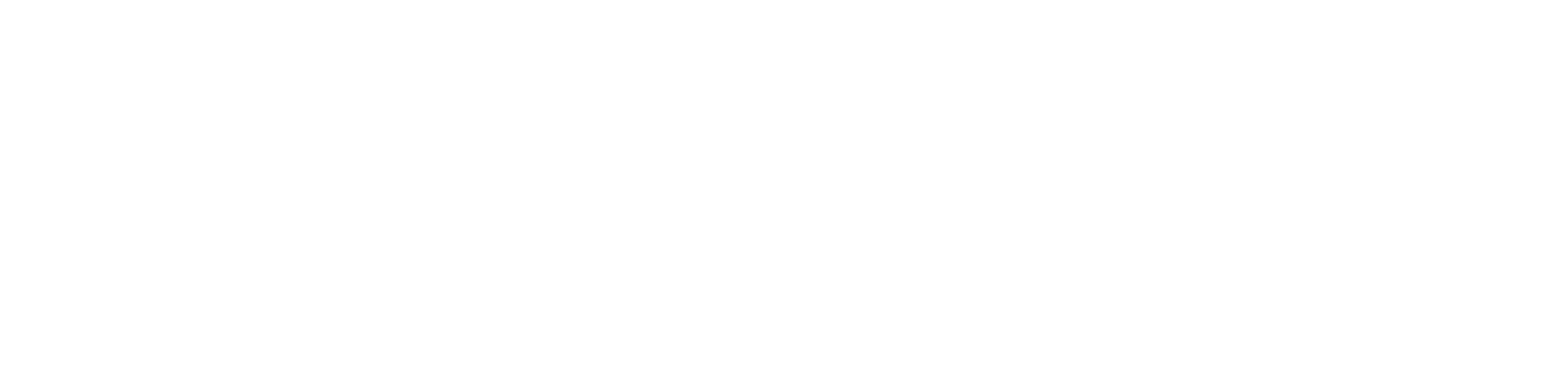 New Tech Network Logo